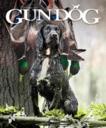 Gun-Dog November 01, 2022 Issue Cover