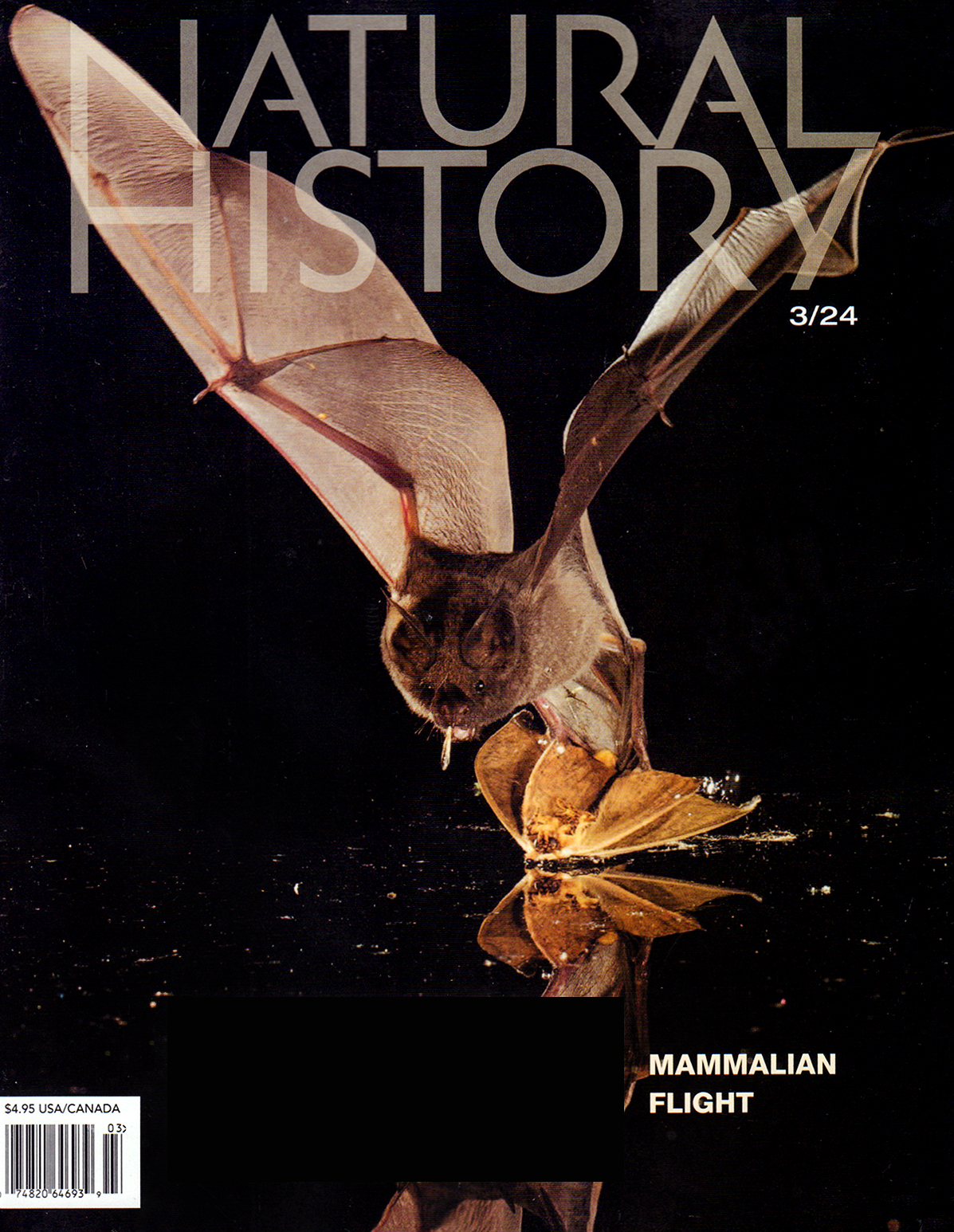 Natural-History March 01, 2024 Issue Cover