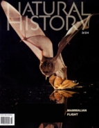 Natural-History March 01, 2024 Issue Cover