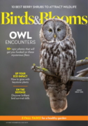Birds & Blooms October 01, 2026 Issue Cover