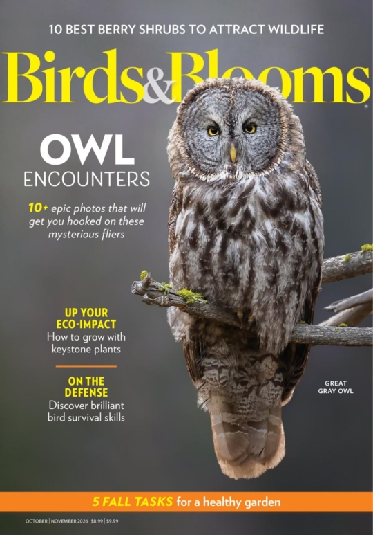Birds & Blooms October 01, 2026 Issue Cover
