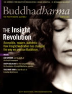 BUDDHADHARMA-THE-PRACTIONERS-QUARTERLY December 01, 2013 Issue Cover