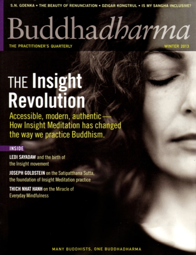 BUDDHADHARMA: THE PRACTIONER'S QUARTERLY December 01, 2013 Issue Cover