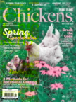 Chickens May 01, 2026 Issue Cover