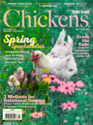 Chickens May 01, 2026 Issue Cover