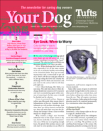 Your-Dog August 01, 2021 Issue Cover