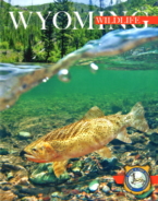Wyoming-Wildlife October 01, 2019 Issue Cover