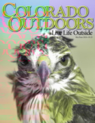 Colorado Outdoors May 01, 2024 Issue Cover