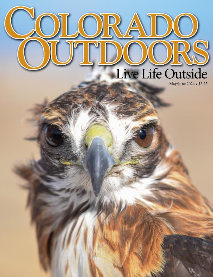 Colorado-Outdoors May 01, 2024 Issue Cover