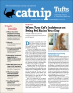 Catnip October 01, 2019 Issue Cover
