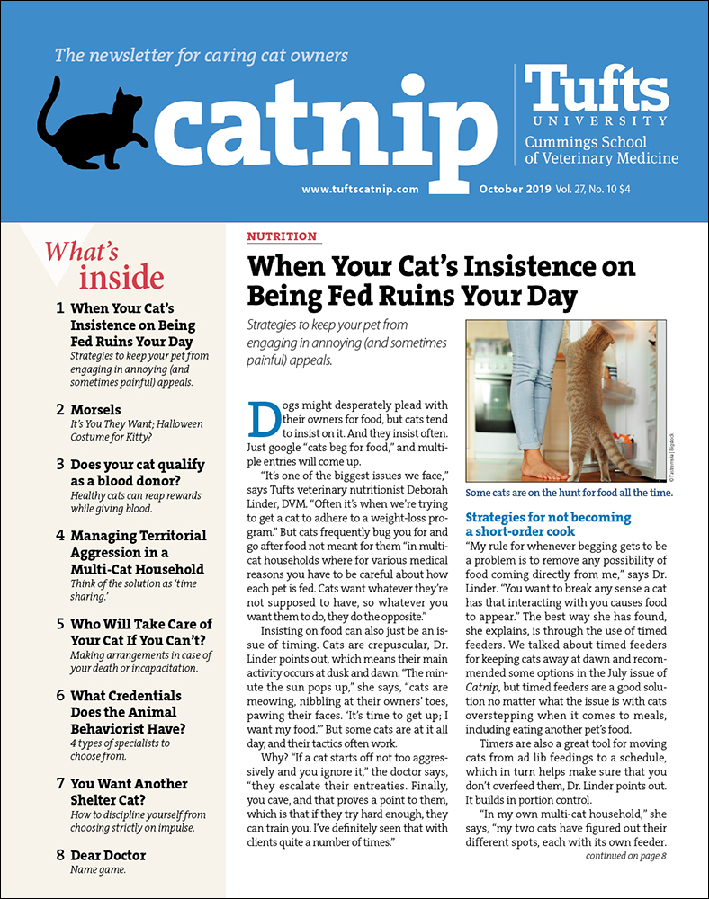 Catnip October 01, 2019 Issue Cover