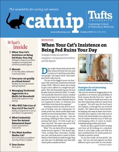 Catnip October 01, 2019 Issue Cover