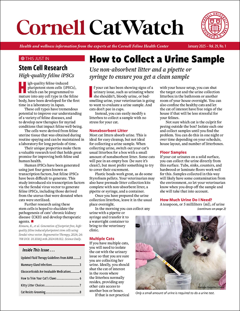Catwatch January 01, 2025 Issue Cover
