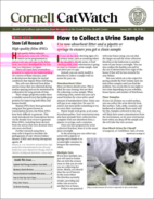 Catwatch January 01, 2025 Issue Cover