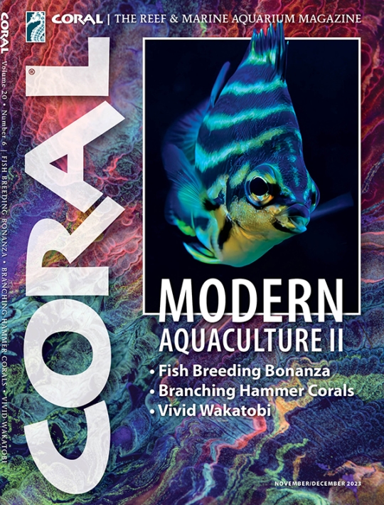 Coral November 01, 2023 Issue Cover