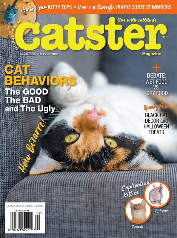 Catster September 01, 2018 Issue Cover