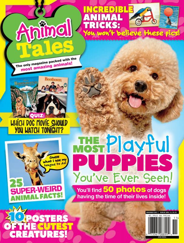 Animal-Tales November 01, 2021 Issue Cover