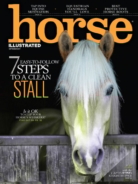 Horse-Illustrated September 01, 2017 Issue Cover