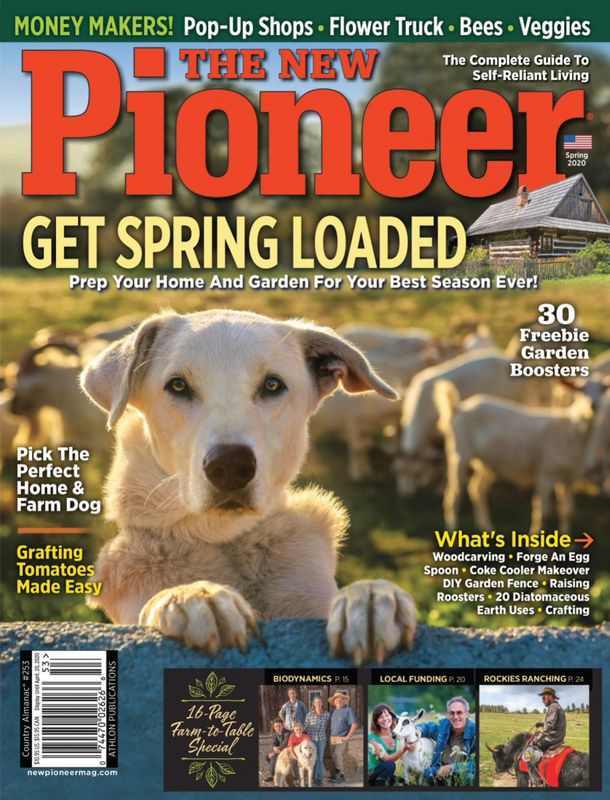 The-New-Pioneer April 01, 2020 Issue Cover