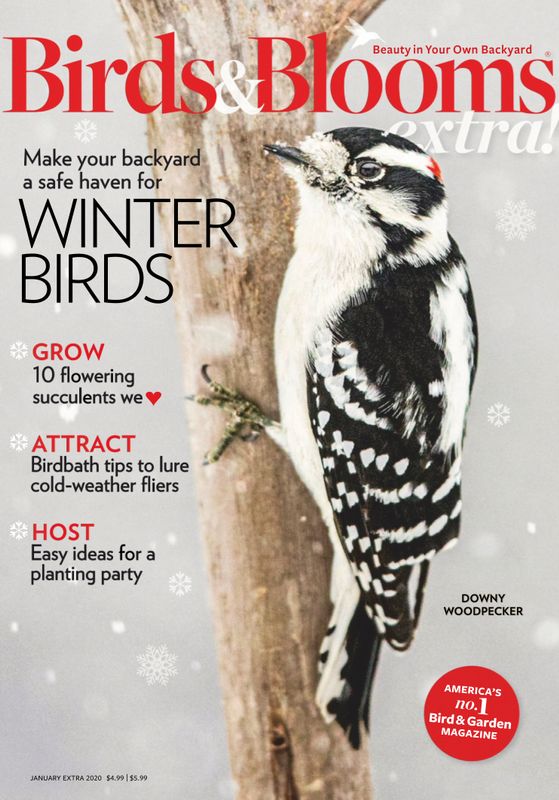 Birds-and-Blooms-Extra January 01, 2020 Issue Cover