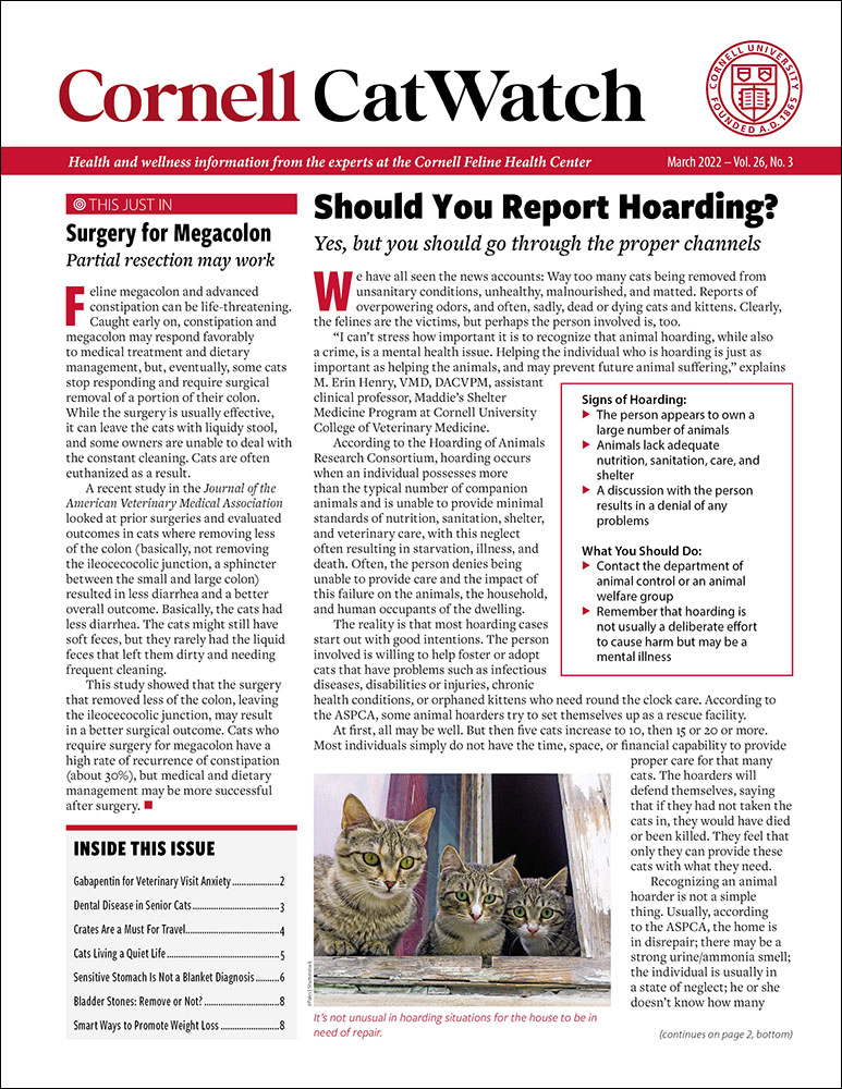 Catwatch March 01, 2022 Issue Cover