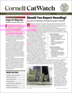 Catwatch March 01, 2022 Issue Cover