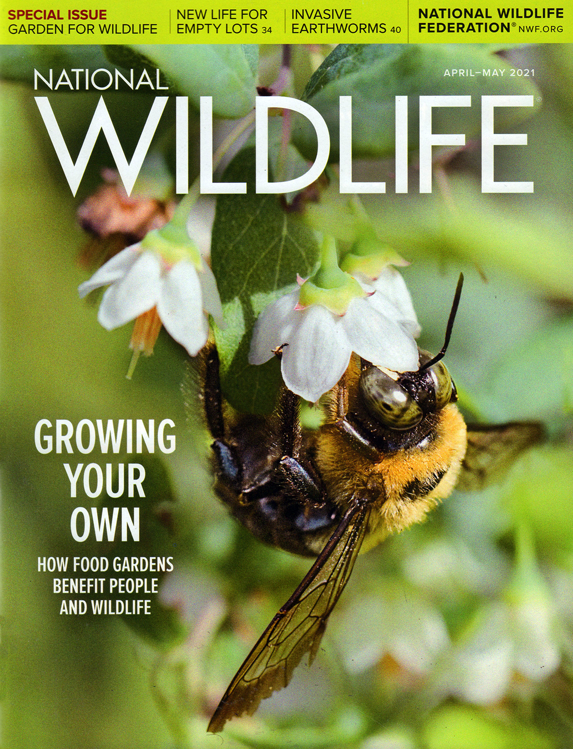 National-Wildlife April 01, 2021 Issue Cover