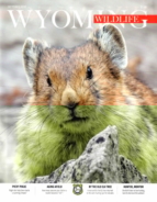 Wyoming-Wildlife October 01, 2018 Issue Cover
