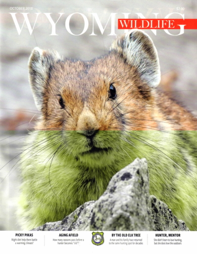 Wyoming Wildlife October 01, 2018 Issue Cover