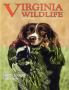 Virginia-Wildlife March 01, 2017 Issue Cover