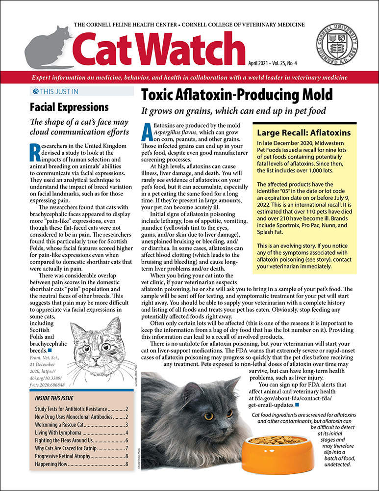 Catwatch April 01, 2021 Issue Cover