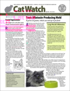 Catwatch April 01, 2021 Issue Cover