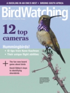 Bird-Watching July 01, 2019 Issue Cover