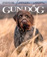 Gun-Dog October 01, 2023 Issue Cover