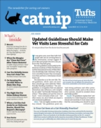 Catnip June 01, 2023 Issue Cover