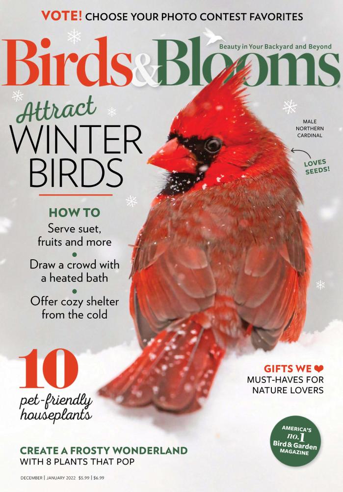 Birds-and-Blooms December 01, 2021 Issue Cover