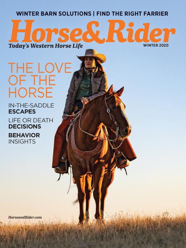 Horse-and-Rider December 01, 2020 Issue Cover