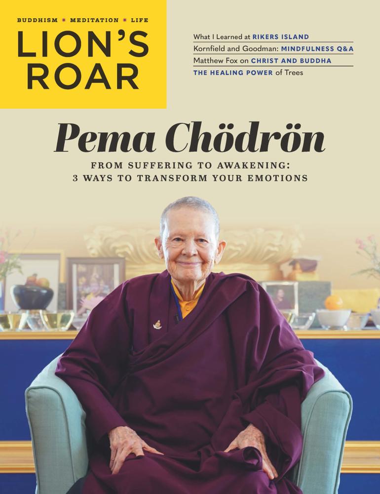 Lions-Roar November 01, 2022 Issue Cover