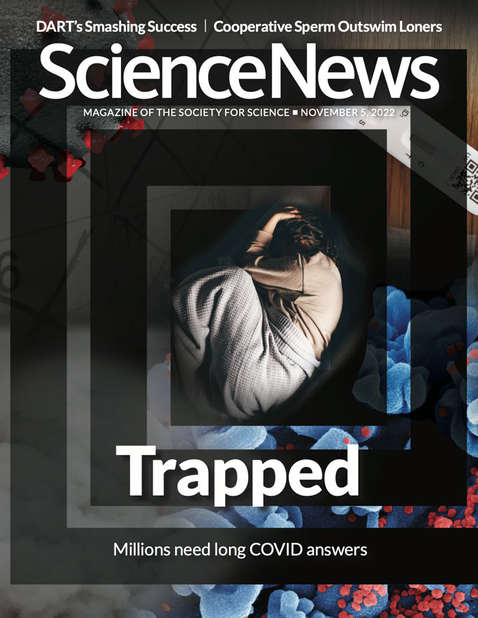 Science-News November 05, 2022 Issue Cover