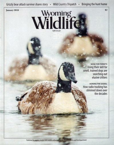 Wyoming Wildlife January 01, 2018 Issue Cover