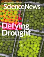 Science-News March 11, 2023 Issue Cover