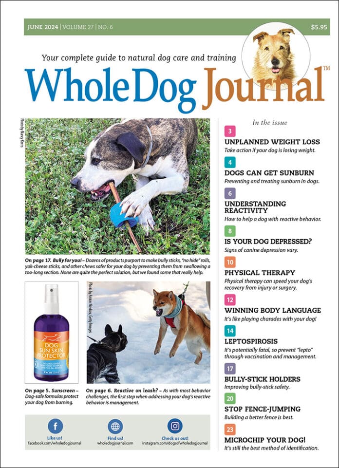 Whole-Dog-Journal June 01, 2024 Issue Cover