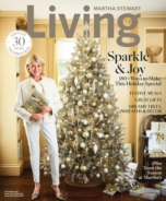 Martha-Stewart-Living December 01, 2020 Issue Cover