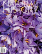 Natural-History March 01, 2021 Issue Cover