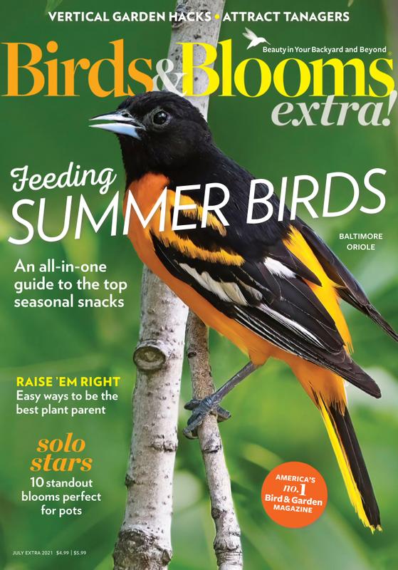 Birds-and-Blooms-Extra July 01, 2021 Issue Cover