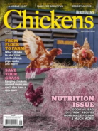 Chickens May 01, 2025 Issue Cover