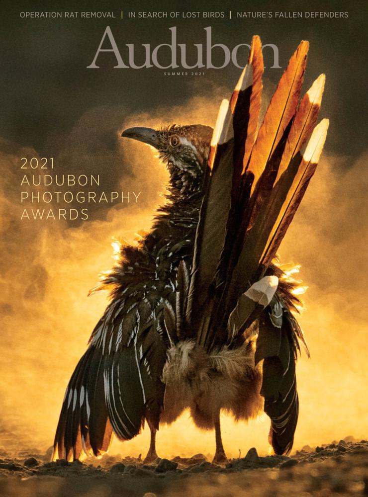 Audubon June 01, 2021 Issue Cover