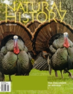 Natural-History December 01, 2020 Issue Cover