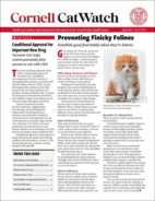 Catwatch August 01, 2023 Issue Cover