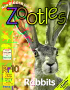 Zootles February 01, 2013 Issue Cover